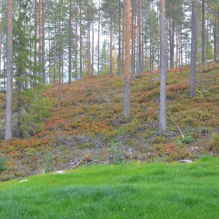 Kainiemen Huvilat Nurmes Pokoj fotografie
